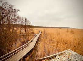 Yyteri Nature Trail (Lietteiden Reitti)