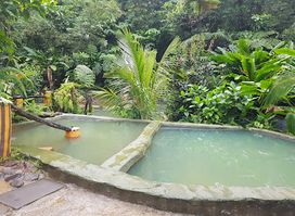 Bongo Baths
