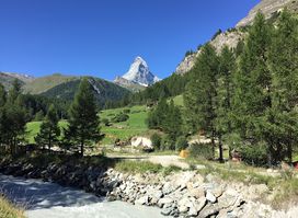 Forest Fun Park Zermatt