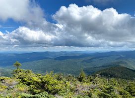 Mt Abraham