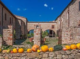 Agriturismo Podere Spedalone