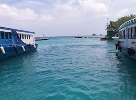 Viligili