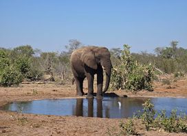 Makgadikgadi Pans National Park