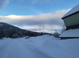 Telemarkshallen