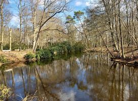 Goois Natuurreservaat Spanderswoud