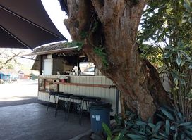 The Waffle Shack