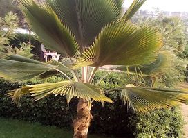 Night Out Suites Mbarara