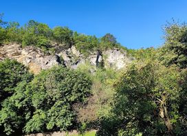 Palvolgyi Cave