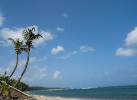 Playa shacks