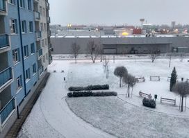 Hviezdna brána