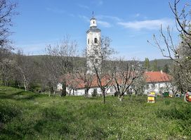 Velika Remeta Monastery