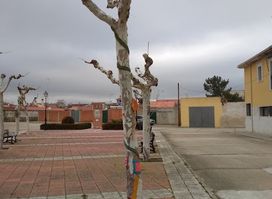 Alcazarén - Camino de Santiago de Madrid