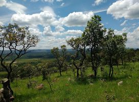 Ruvubu National Park