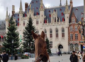 Bruges by horse-drawn carriage