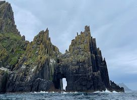 Blasket Island Sea Life Tours