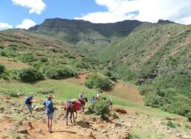 Thaba Tours