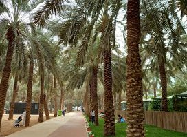 Najd Oasis Walkway