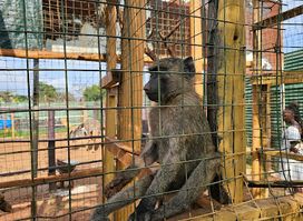 Source Of The Nile Reptile Park