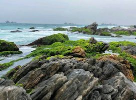 Mirbat Public Beach 01