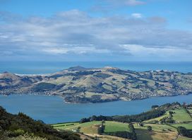 Mount Cargill Lookout