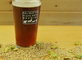 Haliburton Highlands Brewing
