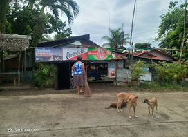Old Cimburrio (Hda. Hinicayan)