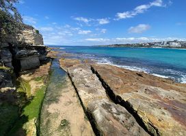 Flat Rock Area - Bondi Beach