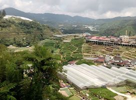Cameron Highland Butterfly Farm