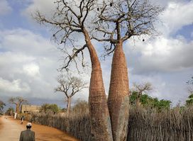 Reserve Reniala