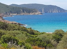 Plage d'Arone