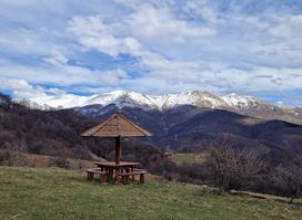 Stara planina