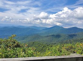 Top of Mt. Mitchell