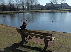 Bachplein