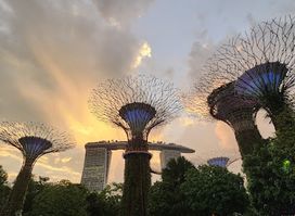 Supertree Grove