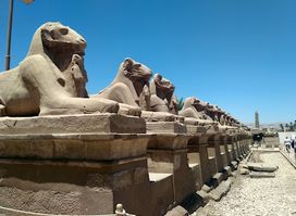 Avenue of the Rams