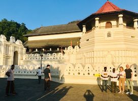 Angel Tours Hikkaduwa