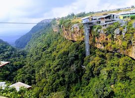 Big Swing @ Graskop Gorge Lift Co