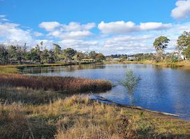 Bushland Park