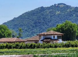 Colchagua Valley, Chile