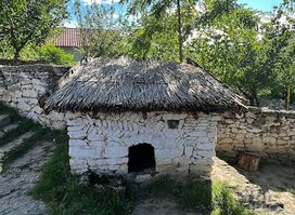 Traditional Peasant House