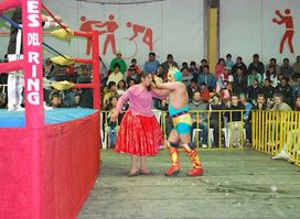 Chola's Wrestling Garage Art