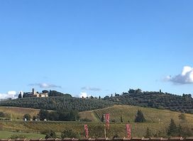 Azienda Agricola Palagetto