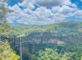 Black River Gorges Nature Park
