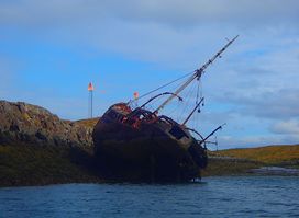 Kontiki Kayak Tours