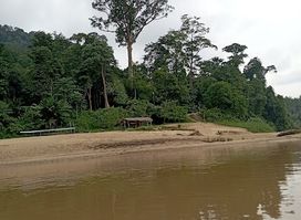 Taman Negara Package