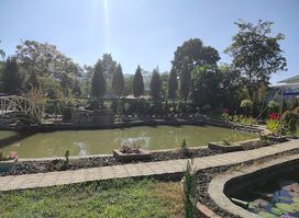 Matai Garden