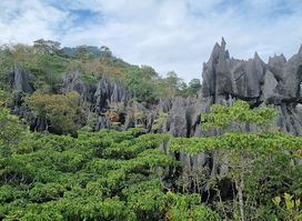 Limestone Forest Viewpoint