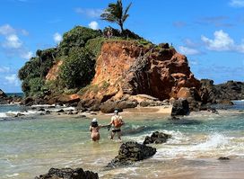 Tiki Bay