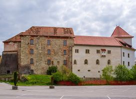 Knežji dvorec