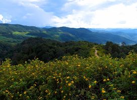 Thanon Thong Chai Range